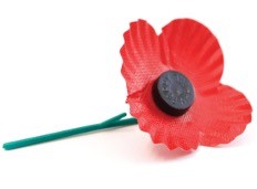 Supporting PoppyScotland | Stewardship