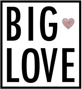 Logo of Big Love Charity